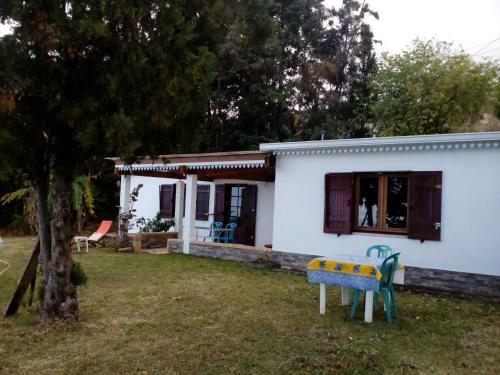 Ancien Verger Dans Les Hauts