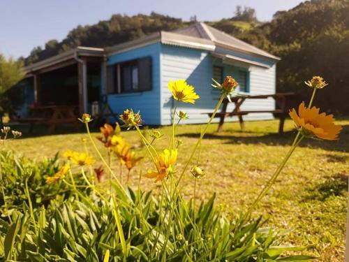 Apartamento Cap Vanisa