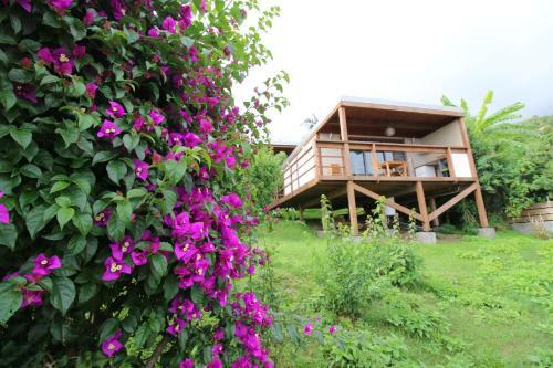Apartamento Kaz Or�a