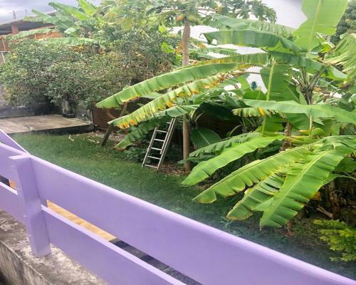 Happyhome