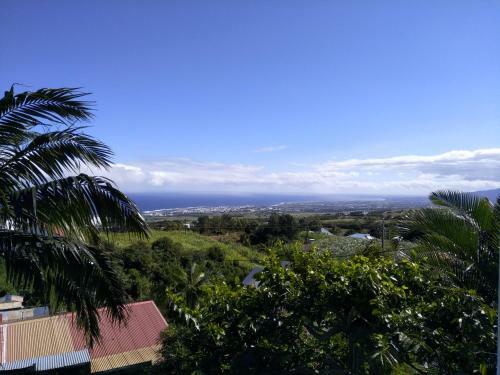 Kaz Piton Montvert