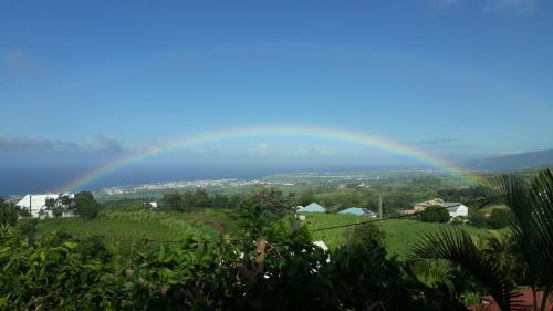 Kaz Piton Montvert