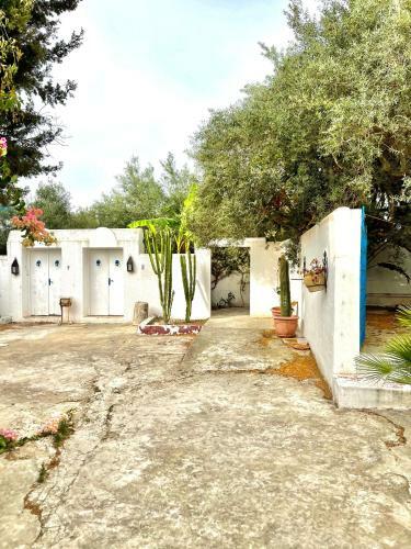 Apartamento Le Cocon De Hammamet, Best Area