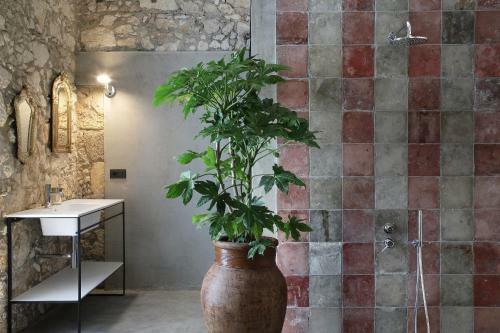 Hostal Isonzo Suites