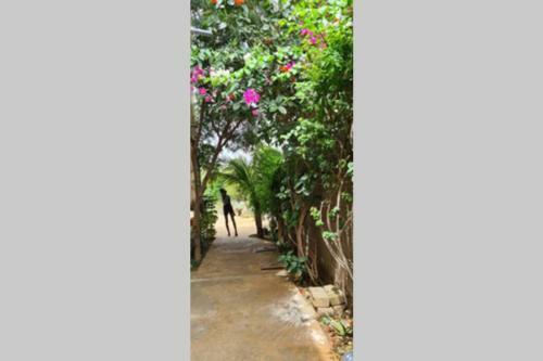 Apartamento Keur Manga2