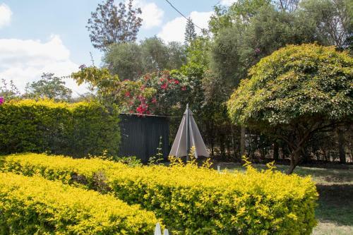 Apartamento S.k Residence