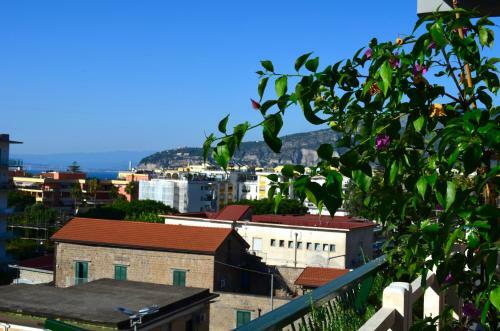 Hostal Luiselle Charming Accommodation Sorrento City Center
