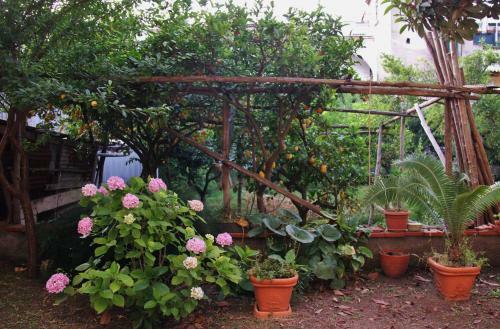 Apartamento Day Dream Sorrento