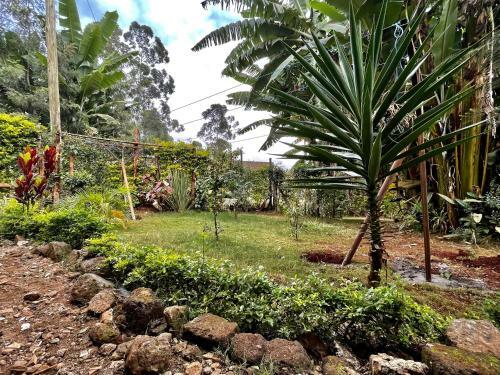 Countryside Villa 4bdr With Unlimited Wifi&netflix