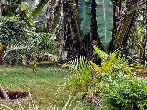 Countryside Villa 4bdr With Unlimited Wifi&netflix