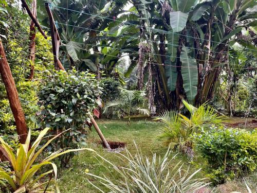 Countryside Villa 4bdr With Unlimited Wifi&netflix