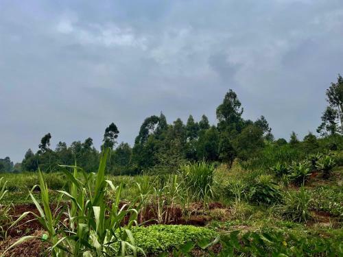 Countryside Villa 4bdr With Unlimited Wifi&netflix