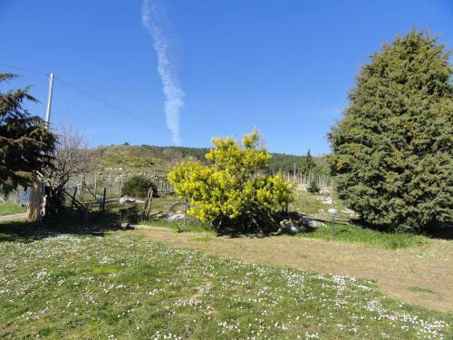 Amore Rentals - Casa Le Tore Blu