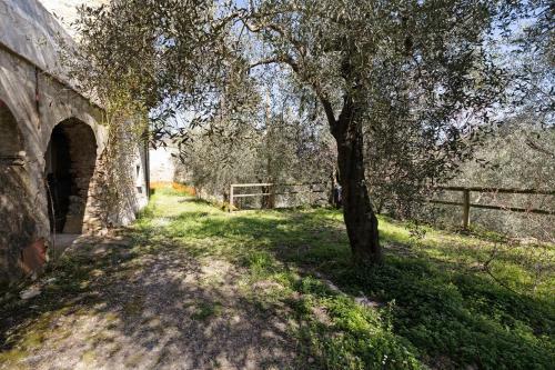 Apartamento Appartamento Ferla La Taggiasca