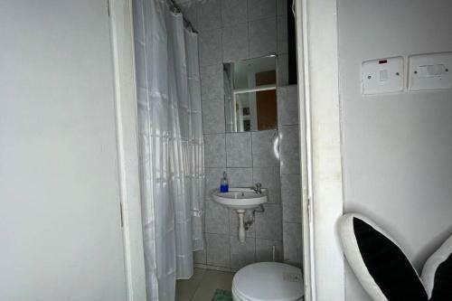 Entire Nairobi Studio Apartment With Swimmingpool