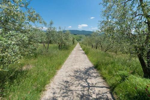 Secluded Charming Cottage - Chianti