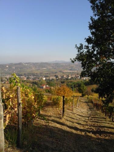 Apartamento Strevi Relax Vino E Belle Passeggiate