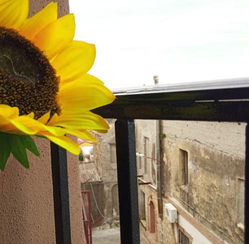 Apartamento Le Stanze Dello Spassetto Donna Dusolina