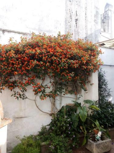 Casa Vacanza Il Giardino