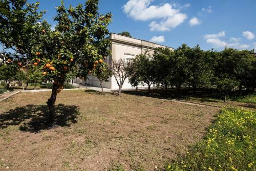 Villa Delle Zagare