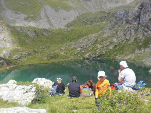 Hostal Almgasthof Fichtenheim - Emberger Alm