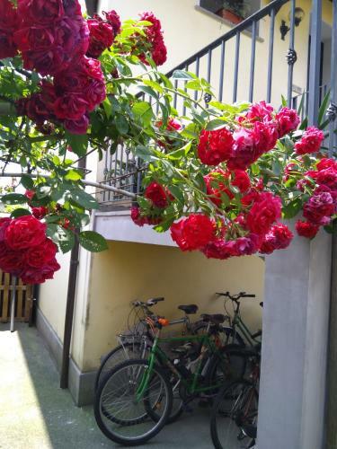 B&B Nono Tilio