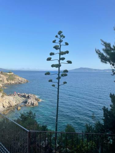Apartamento Villa Il Molinaccio Con Spiaggia Privata E Terrazza Sul Mare
