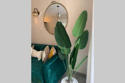 Modern 1 Bedroom Apartment. Elevated Living Royal Suburbs