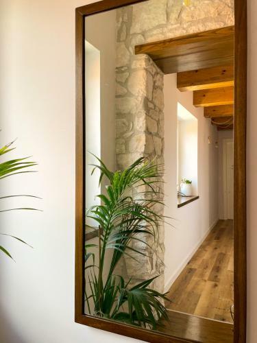 Agroturismo Casa Rurale Faraone