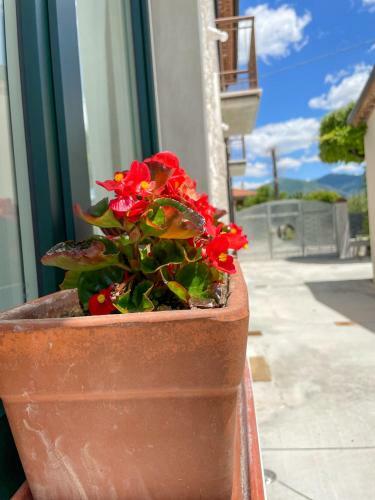 Agroturismo Casa Rurale Faraone