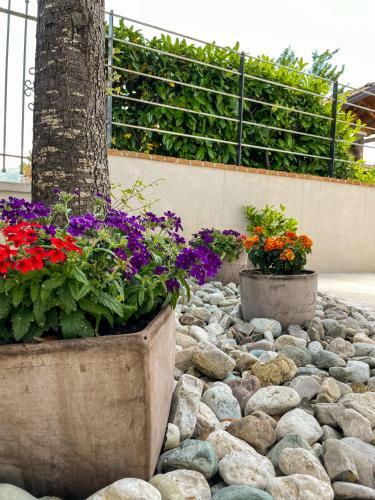 Agroturismo Casa Rurale Faraone