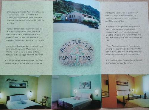 Agroturismo Agriturismo Monte Pino