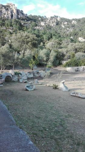 Agroturismo Agriturismo Monte Pino