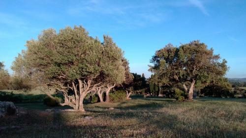 B&B Andrieddu