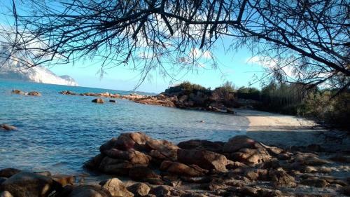 B&B Andrieddu