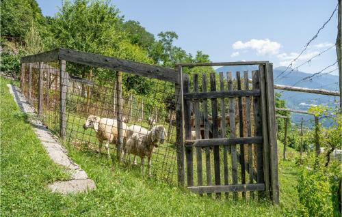 Stunning Home In Telve Di Sopra With 2 Bedrooms