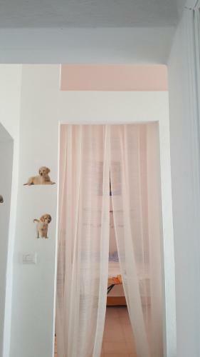 Beautiful 2-bed House In Tempio Pausania