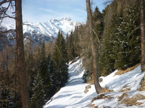 Apartamento T�tscherhof