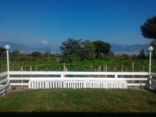 Tenuta Sul Vesuvio " Il Vigneto "