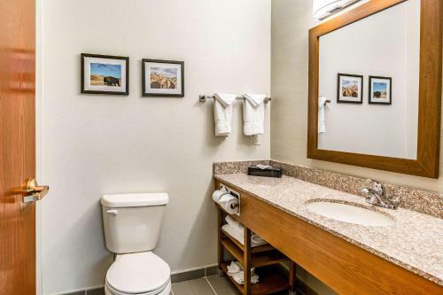 Hotel Comfort Inn & Suites Rapid City