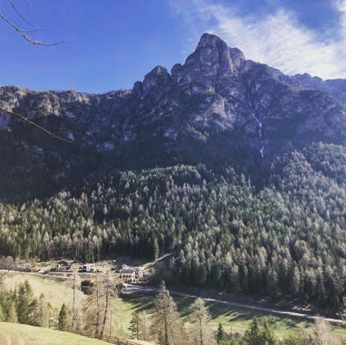 B&B Le Stagioni Di Stava