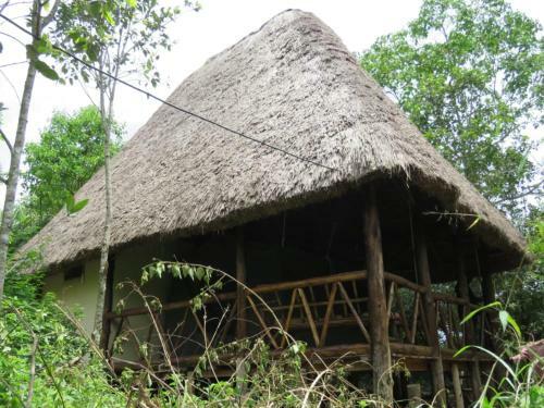 Hotel Jungle Lodge