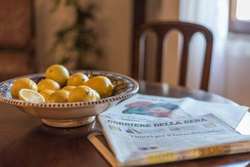 Hostal Lemon Tree Boutique Guest House
