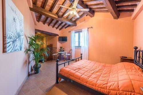 Hostal Lemon Tree Boutique Guest House