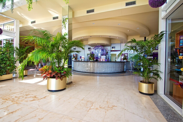 Hotel Servigroup Papa Luna