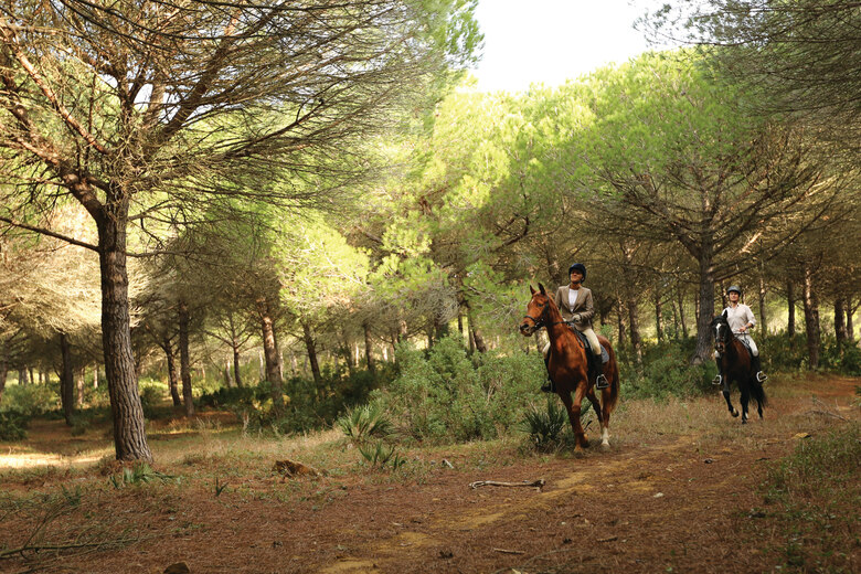 Hotel So/sotogrande