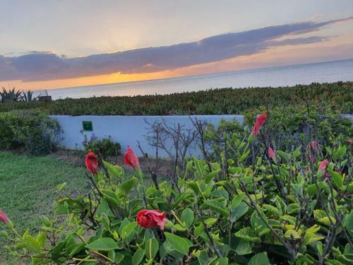 Hostal Maamoura Beach House