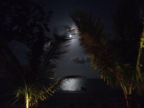 Villa Vila Sunshine House Zanzibar