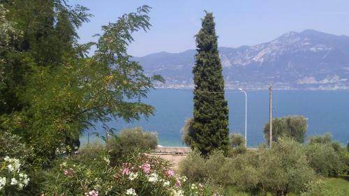 Appartamenti Le Dimore