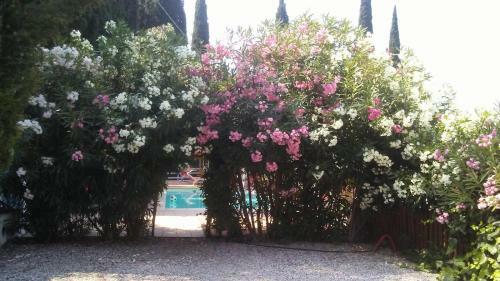 Appartamenti Le Dimore